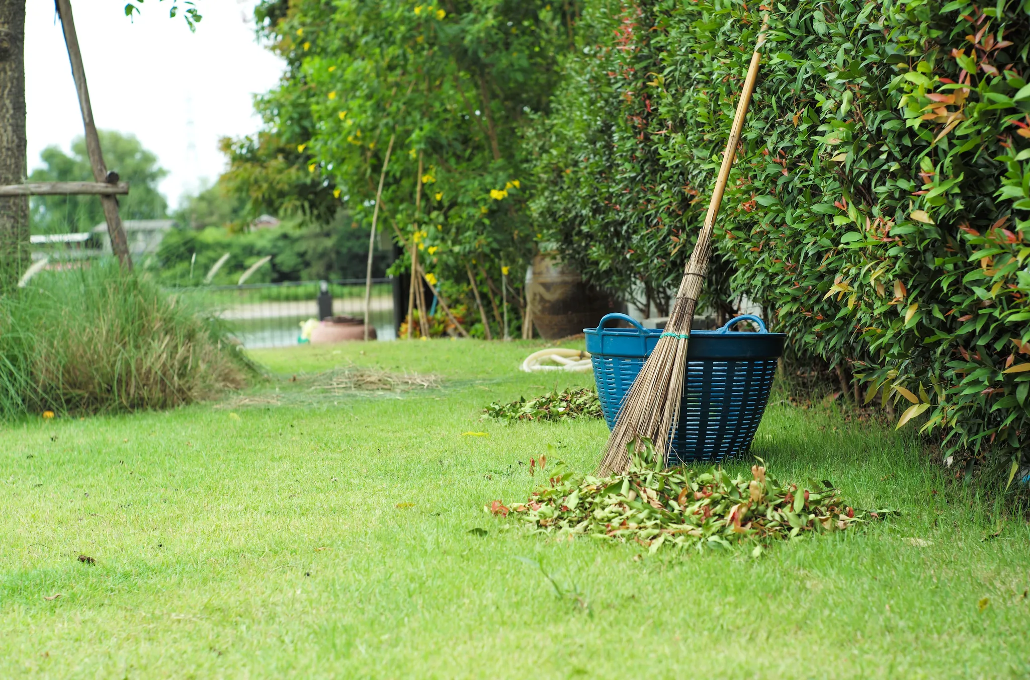 Gardening-Cleaning.webp