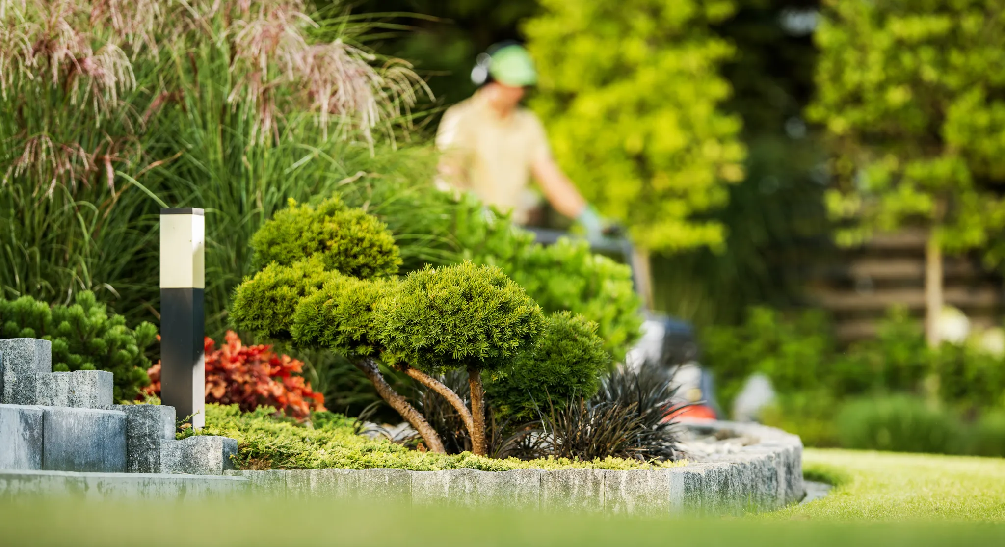 residential-back-yard-and-garden-keeper-in-the-bac-2026-03-24-00-32-12-utc.webp