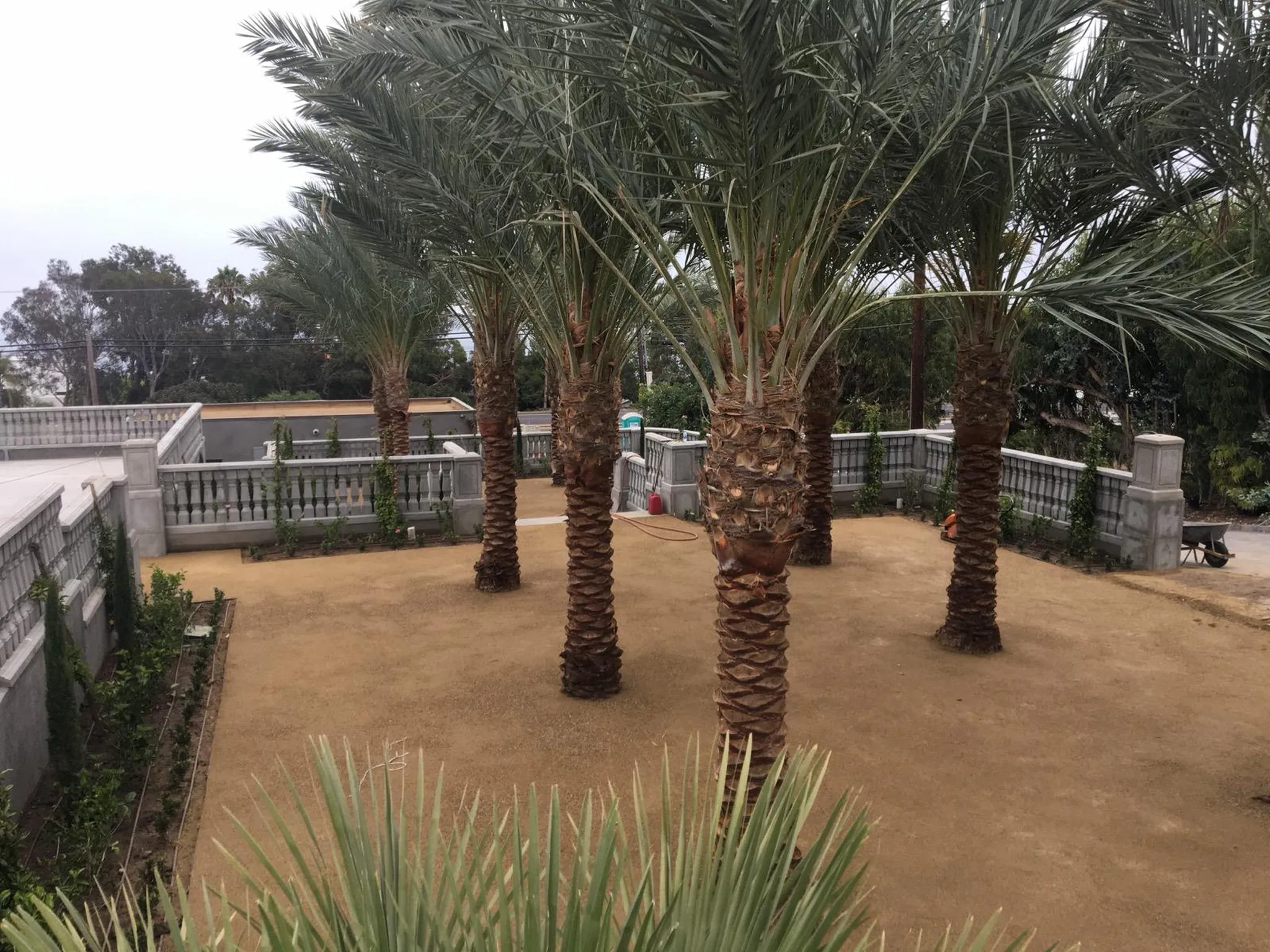 02-projects-jc