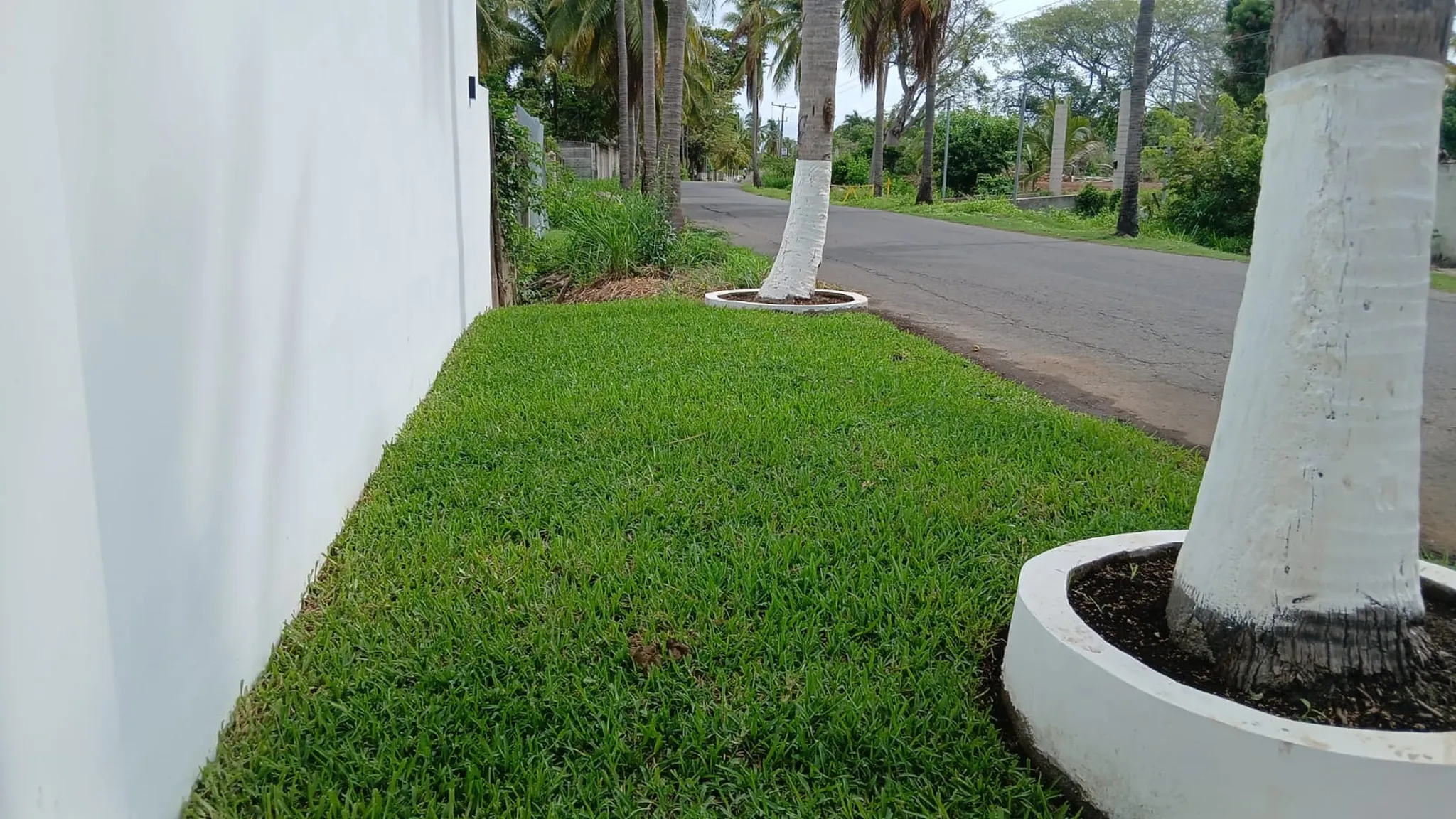 06-projects-jc-garden