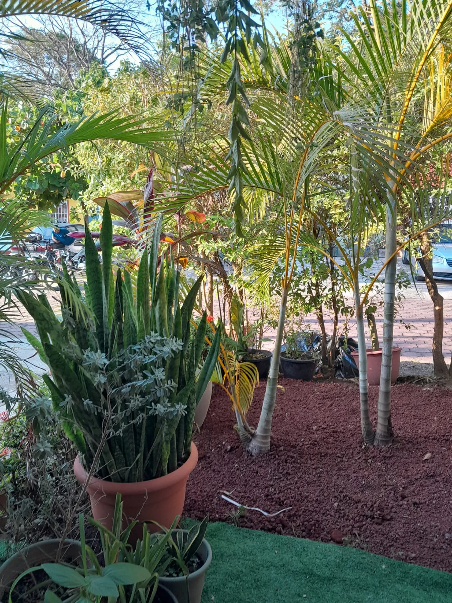 08-projects-jc-garden